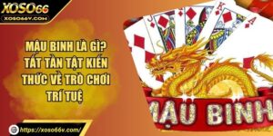 Mậu Binh Là Gì? Tất Tần Tật Kiến Thức Về Trò Chơi Trí Tuệ 