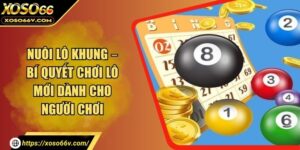 Nuôi Lô Khung – Bí Quyết Chơi Lô Mới Dành Cho Người Chơi