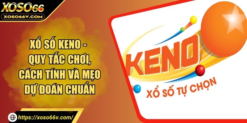 Xổ Số Keno - Quy Tắc Chơi, Cách Tính Và Mẹo Dự Đoán Chuẩn